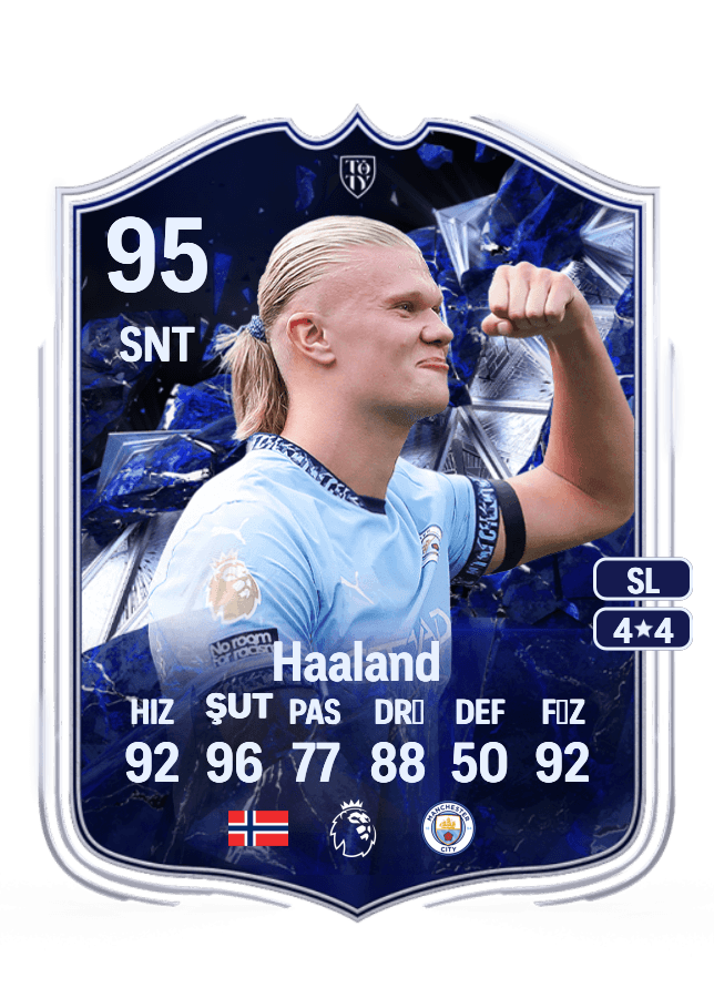 Erling Haaland card
