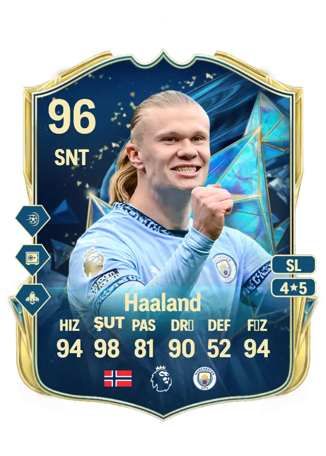 Erling Haaland card