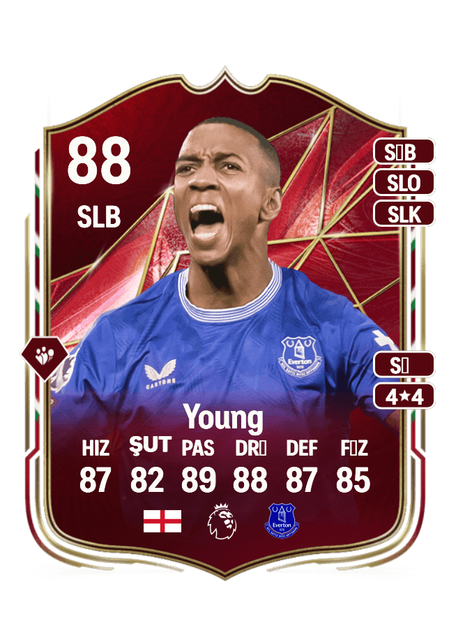 Ashley Young card