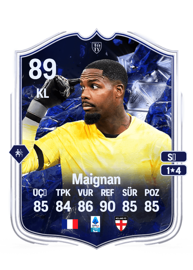 Mike Maignan card