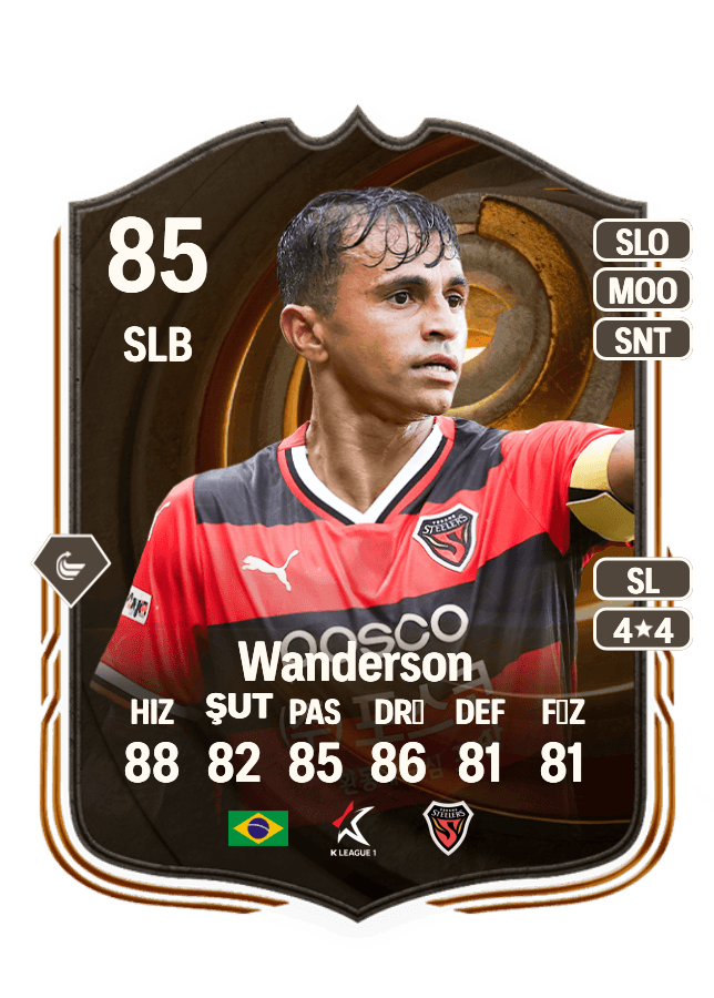 Wanderson card