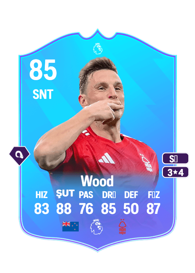 Chris Wood card