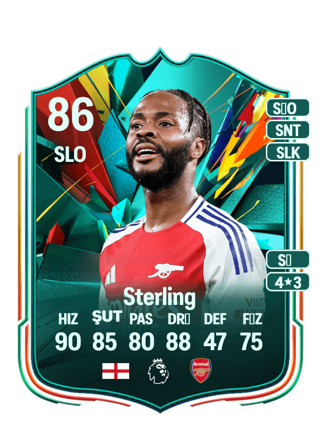 Raheem Sterling card