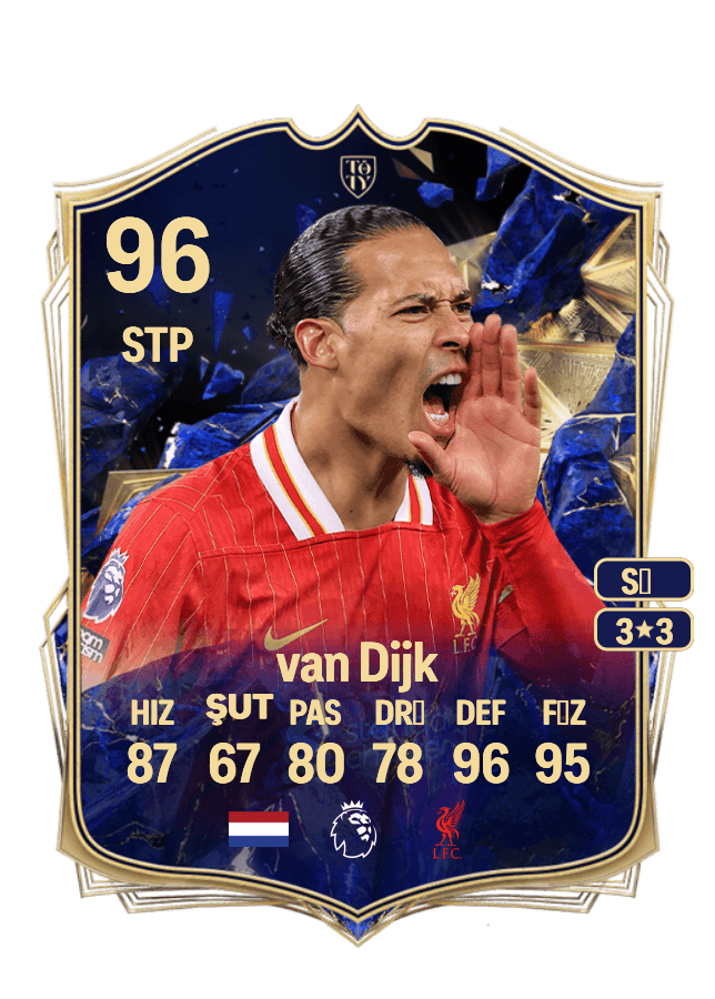 Virgil van Dijk card