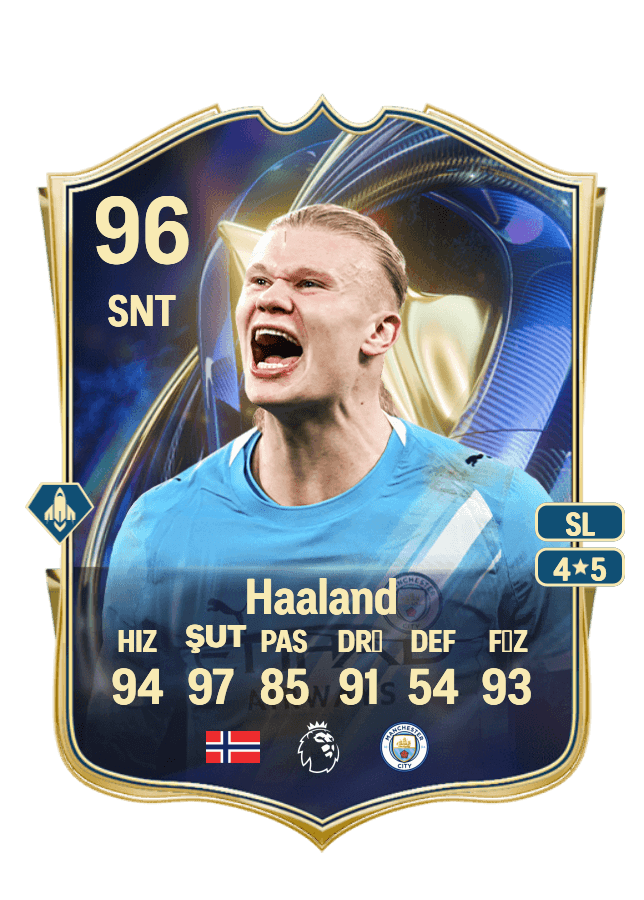 Erling Haaland card