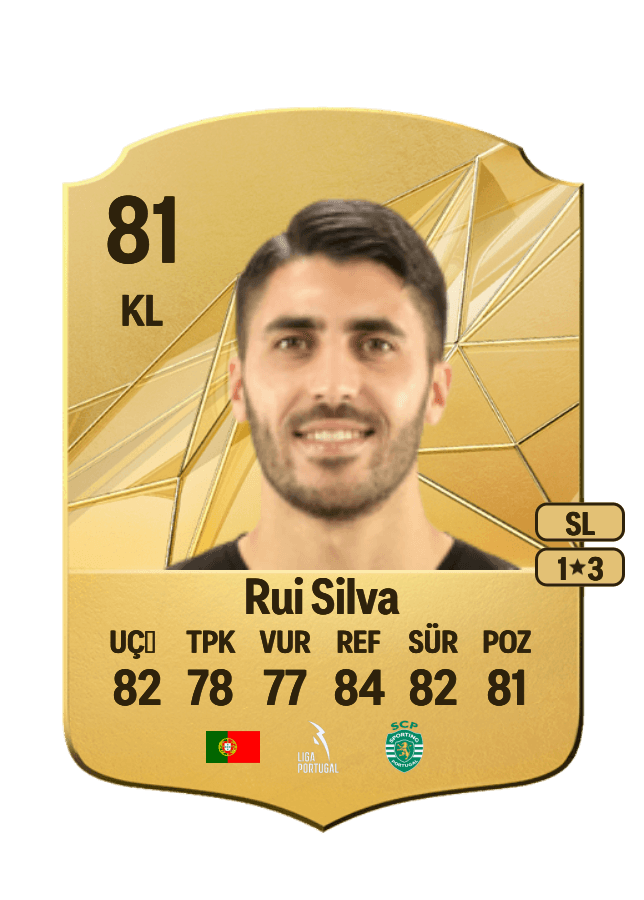 Rui Silva card