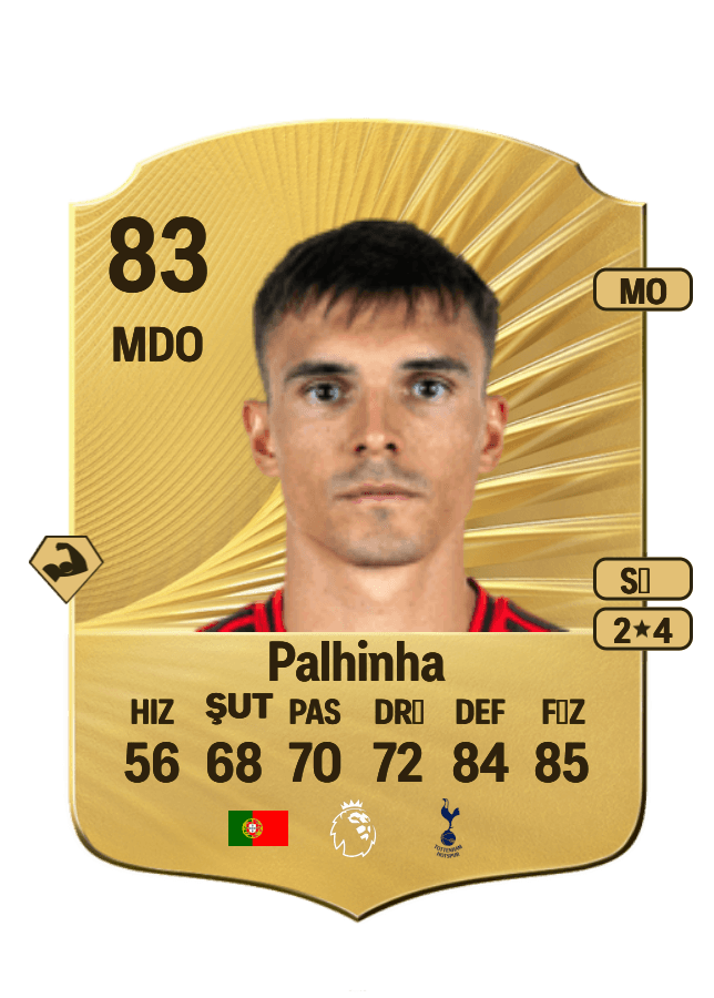 Palhinha card
