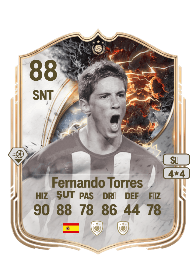 Fernando Torres card