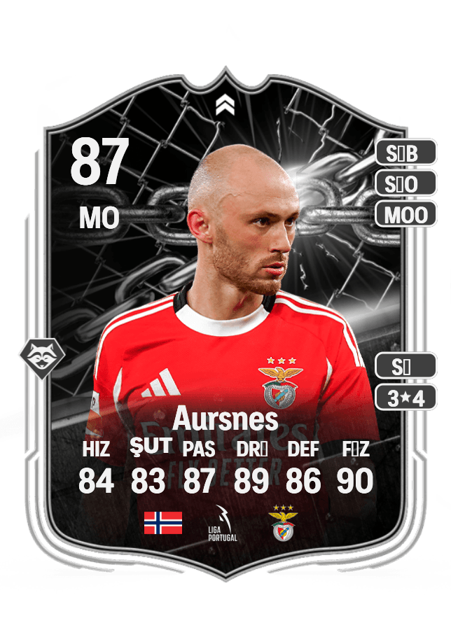 Fredrik Aursnes card