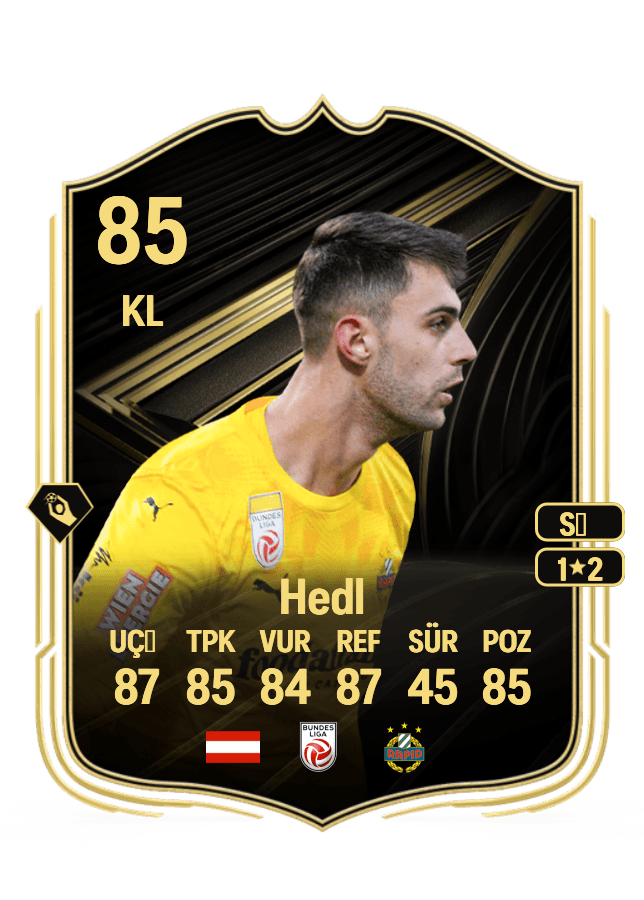 Niklas Hedl card