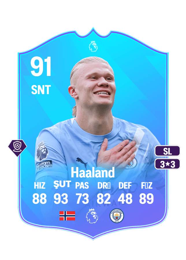 Erling Haaland card