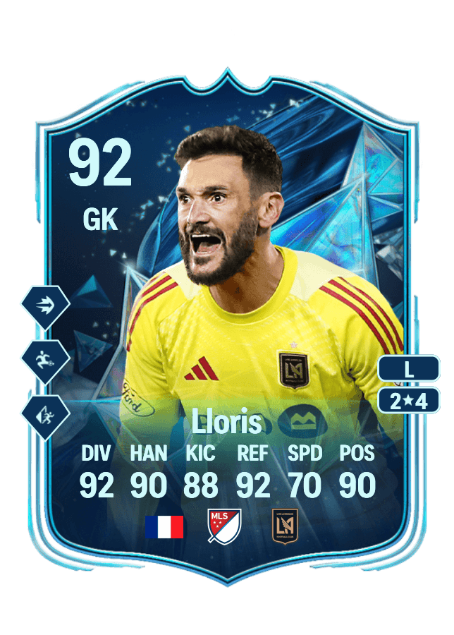 Hugo Lloris card
