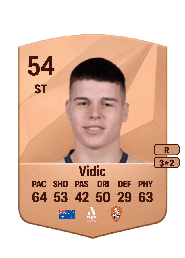 Justin Vidic card