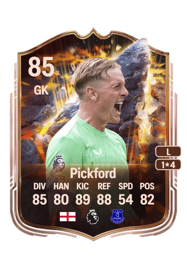 Jordan Pickford card