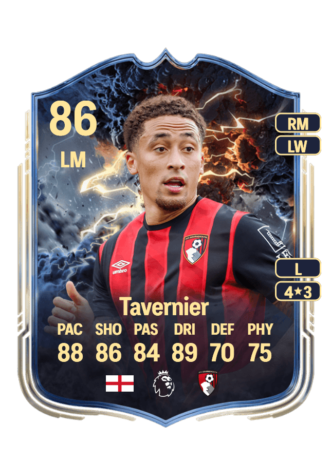 Marcus Tavernier card