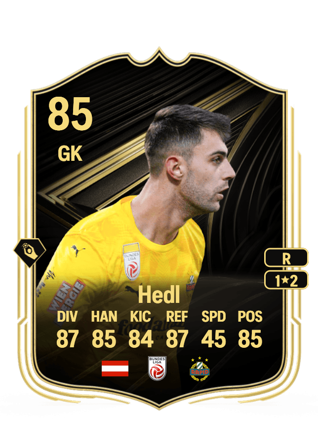 Niklas Hedl card