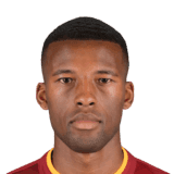 Wijnaldum