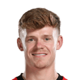Lewis-Potter