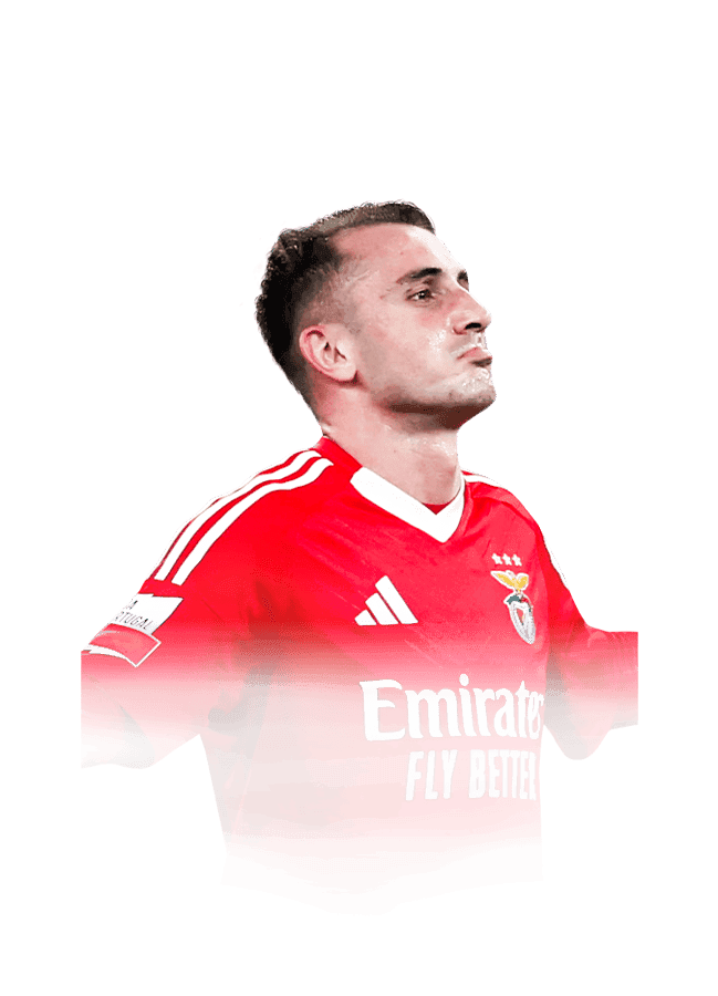 Aktürkoğlu
