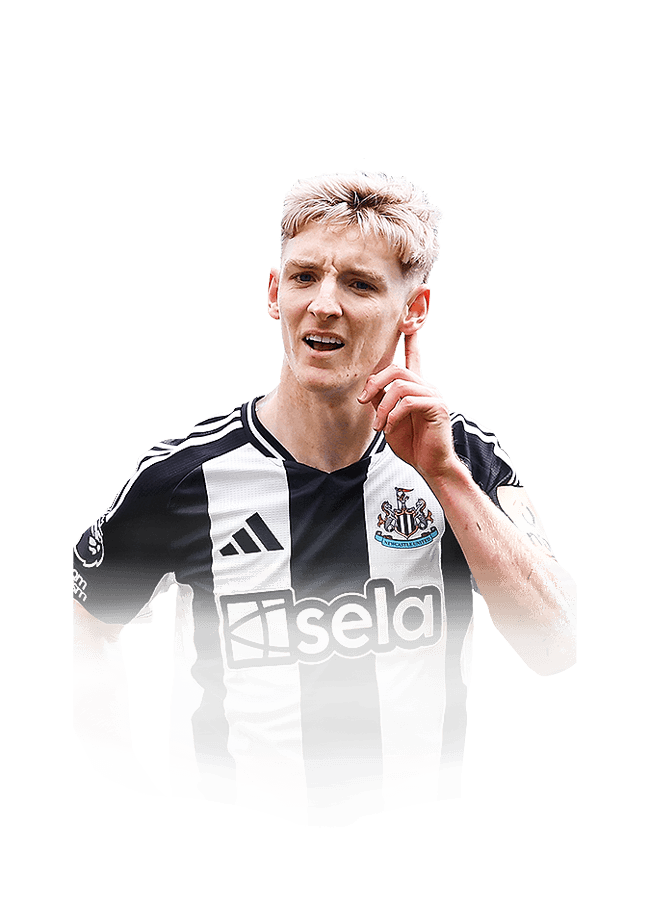 Gordon