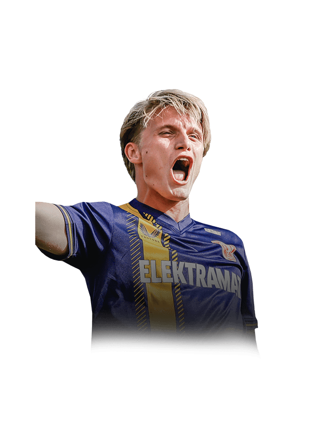 Steijn