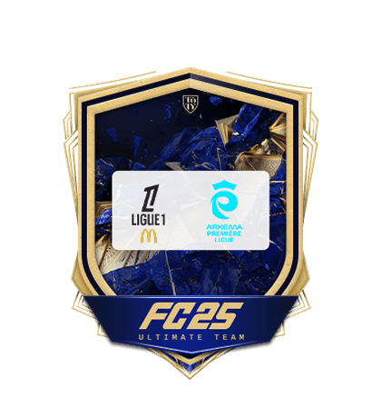   프리미엄 L1 및 D1 업그레이드 logo