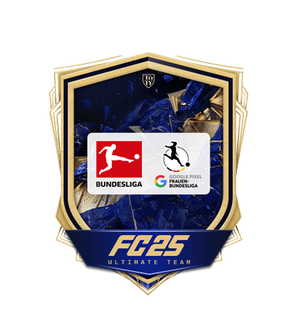 Výzvy tvorby týmu Prémiový upgrade BL a GPFBL logo
