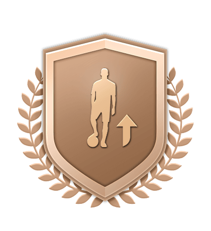 Испытания подбора команды Бронзовое улучшение logo