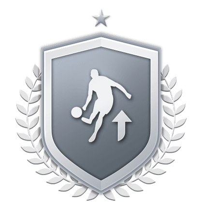 Испытания подбора команды Серебряное улучшение logo