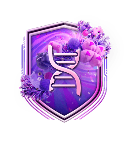 Défis Création d'équipe ÉVO cinq étoiles logo