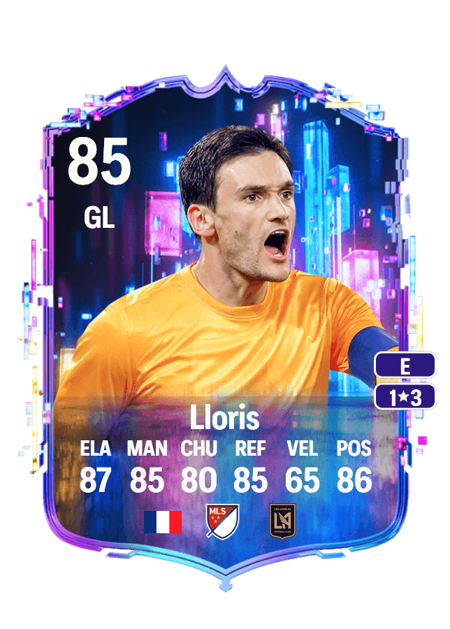 Hugo Lloris card