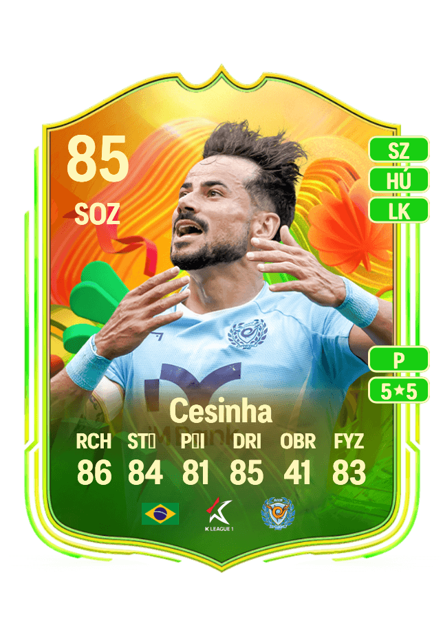 Cesinha card