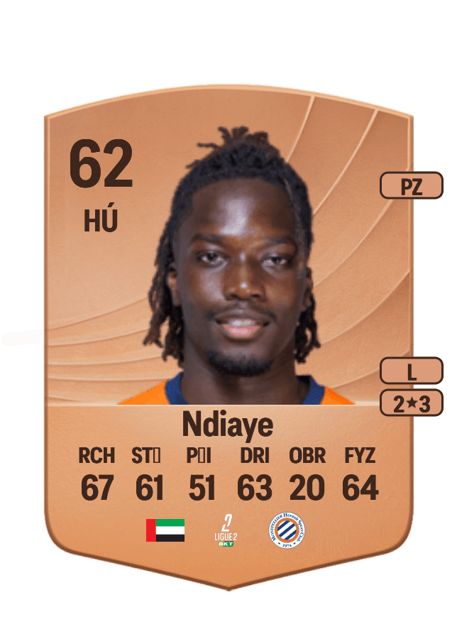Junior Ndiaye card
