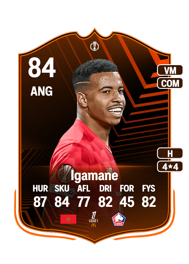 Hamza Igamane card