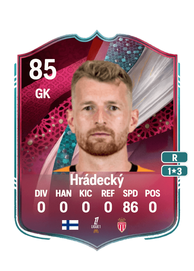 Lukáš Hrádecký card