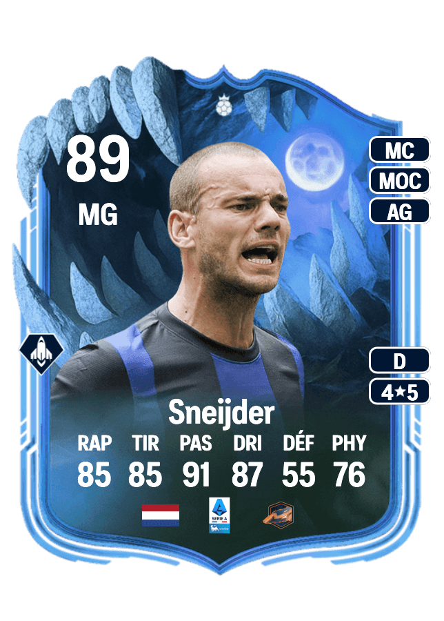 Wesley Sneijder card