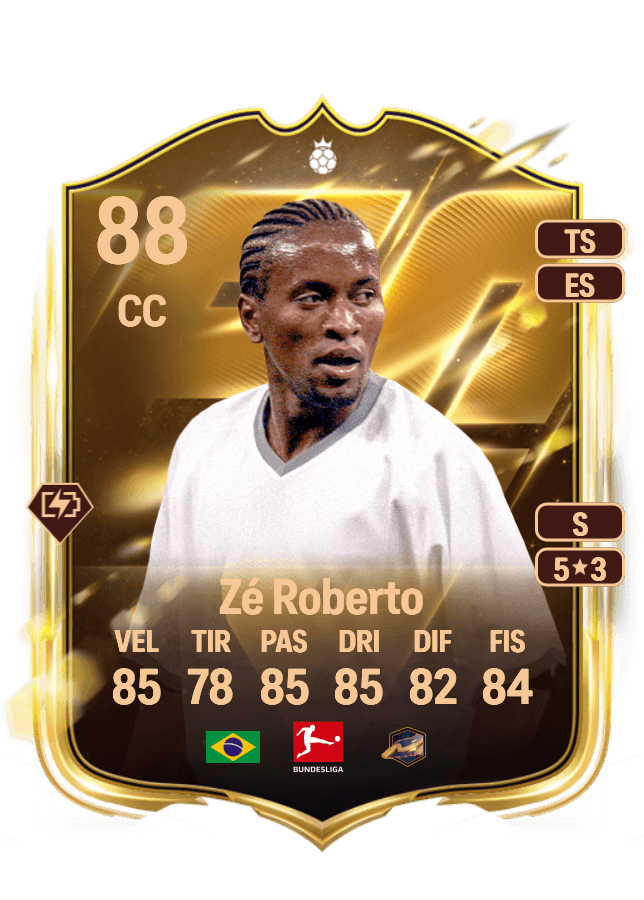 Zé Roberto card