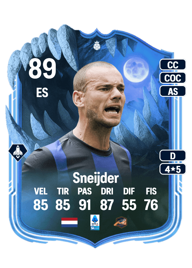 Wesley Sneijder card
