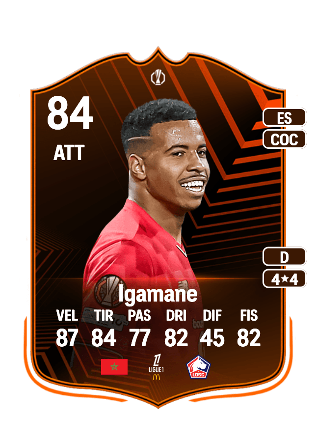 Hamza Igamane card