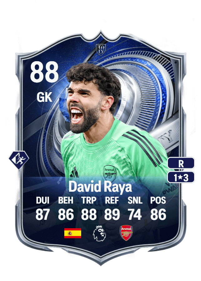 David Raya card