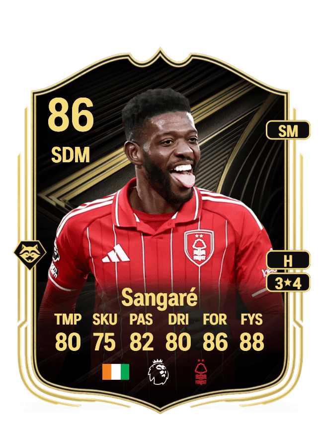 Ibrahim Sangaré card