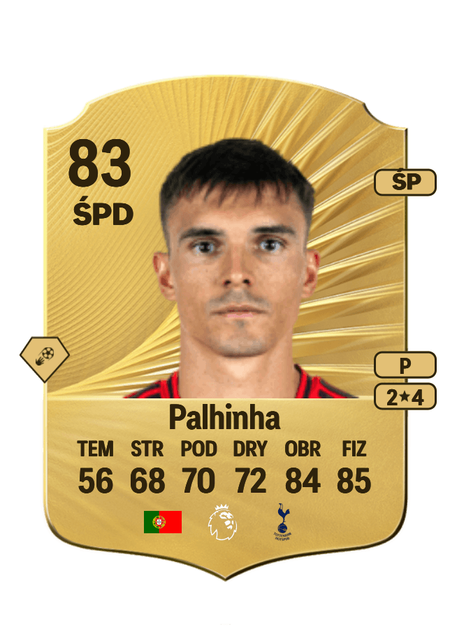 Palhinha card