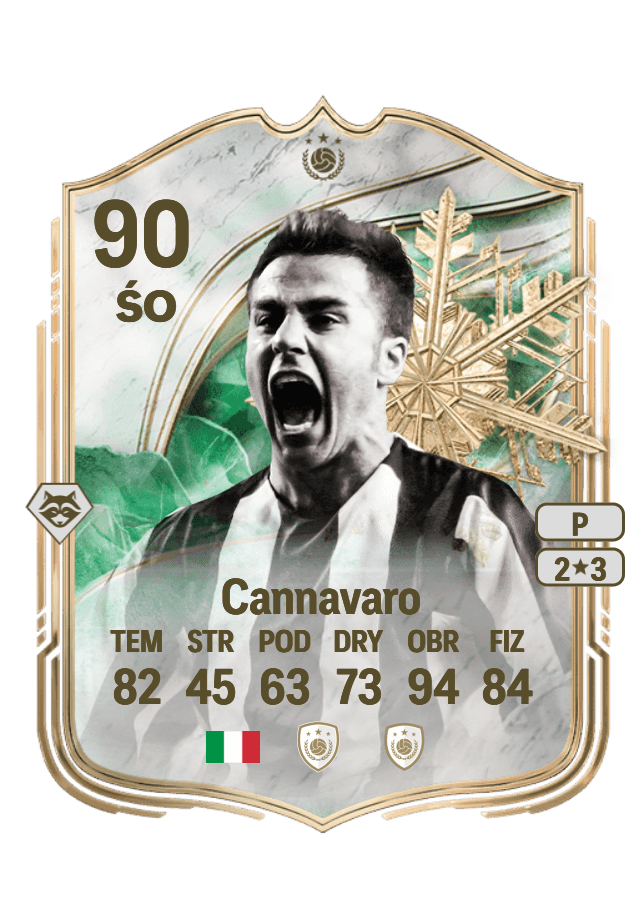 Fabio Cannavaro card