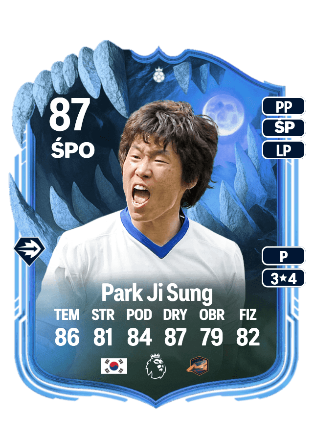 Park Ji Sung card