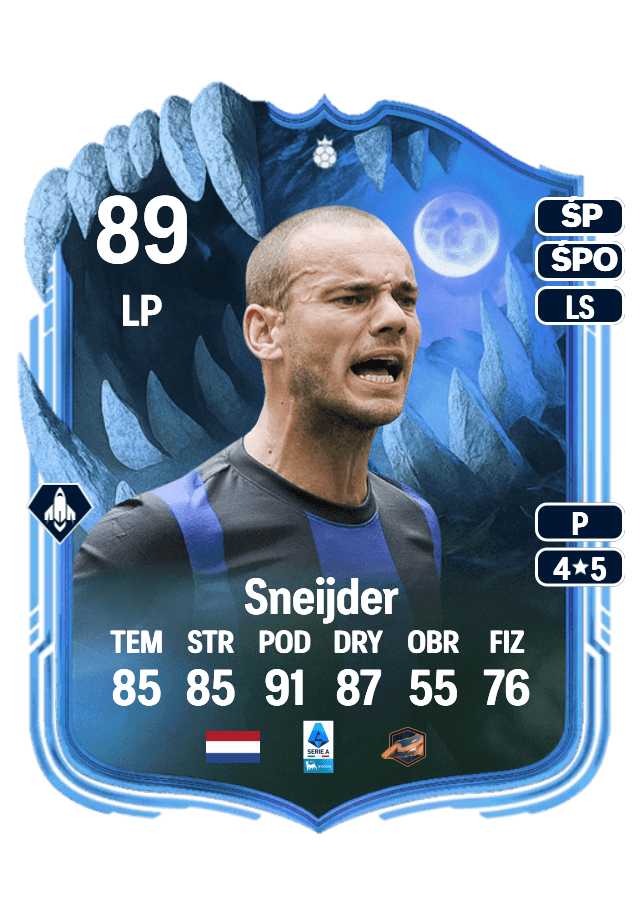 Wesley Sneijder card
