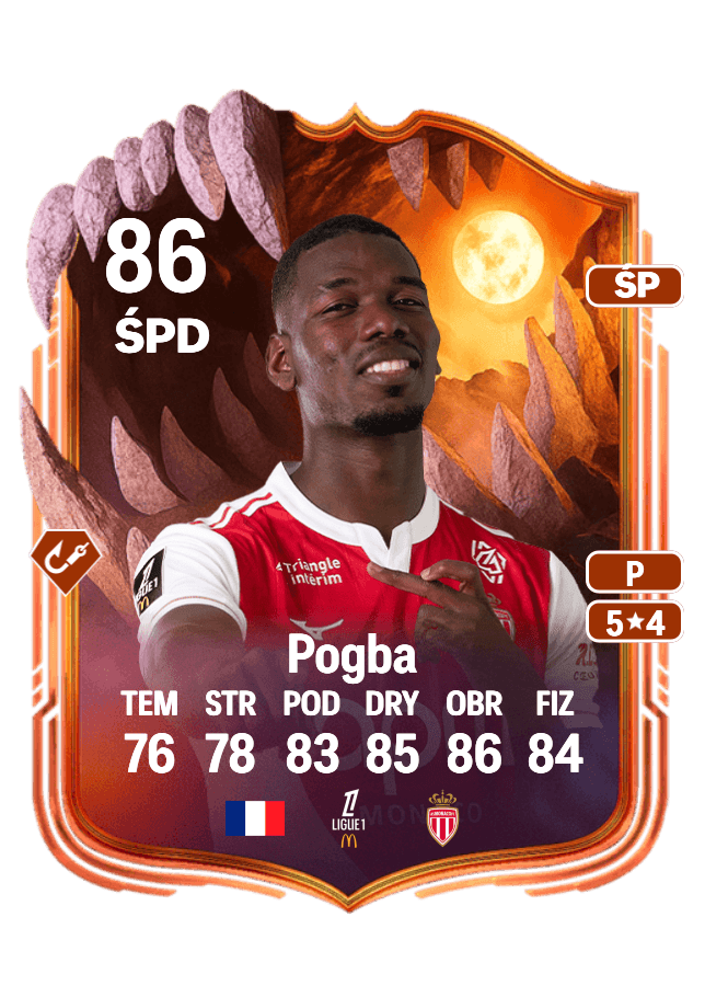 Paul Pogba card