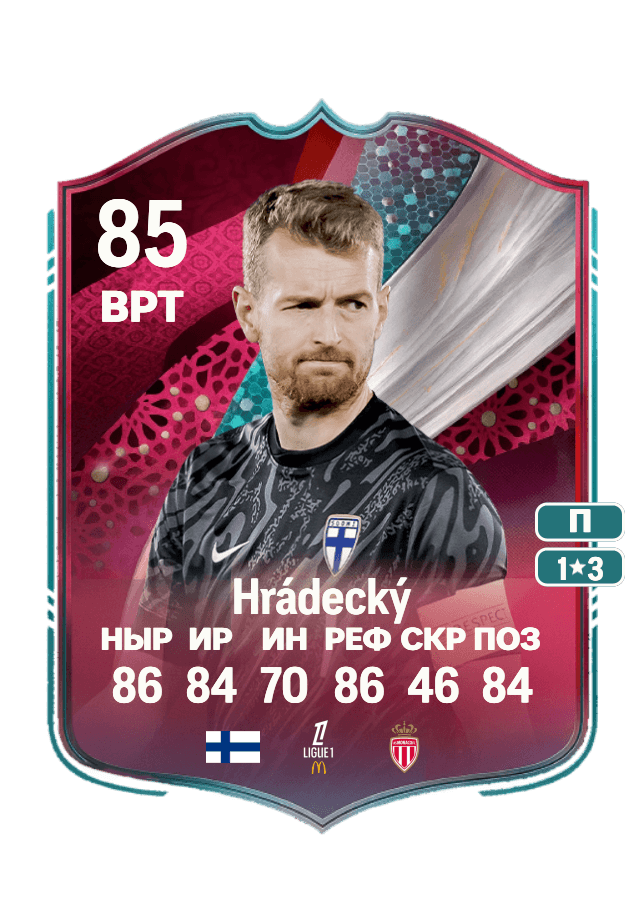 Lukáš Hrádecký card