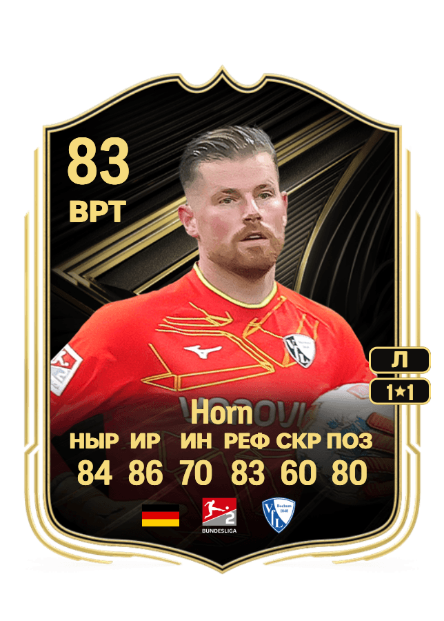 Timo Horn card