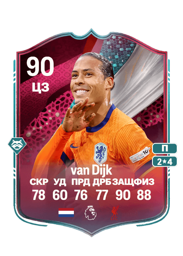 Virgil van Dijk card