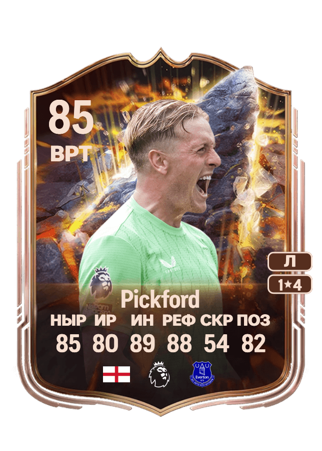 Jordan Pickford card